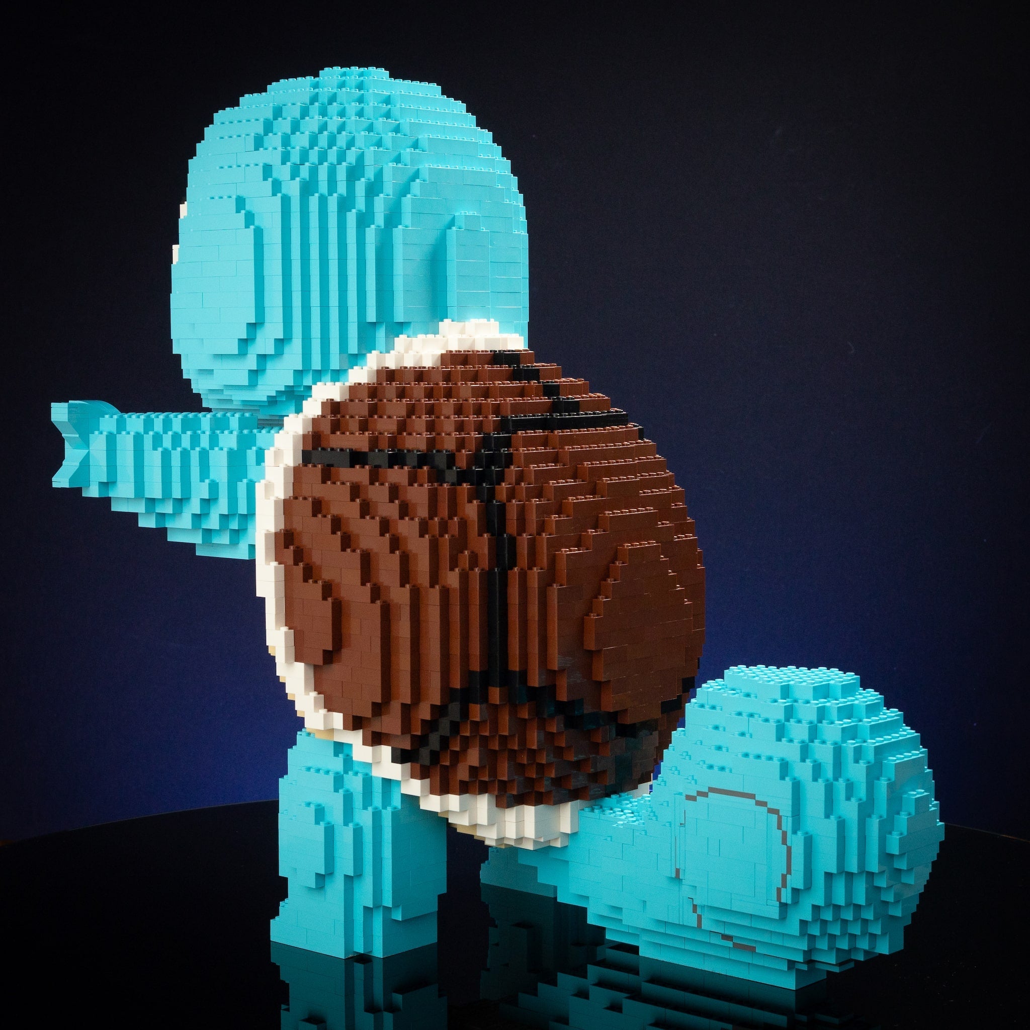 Life-Sized Hydro Turtle