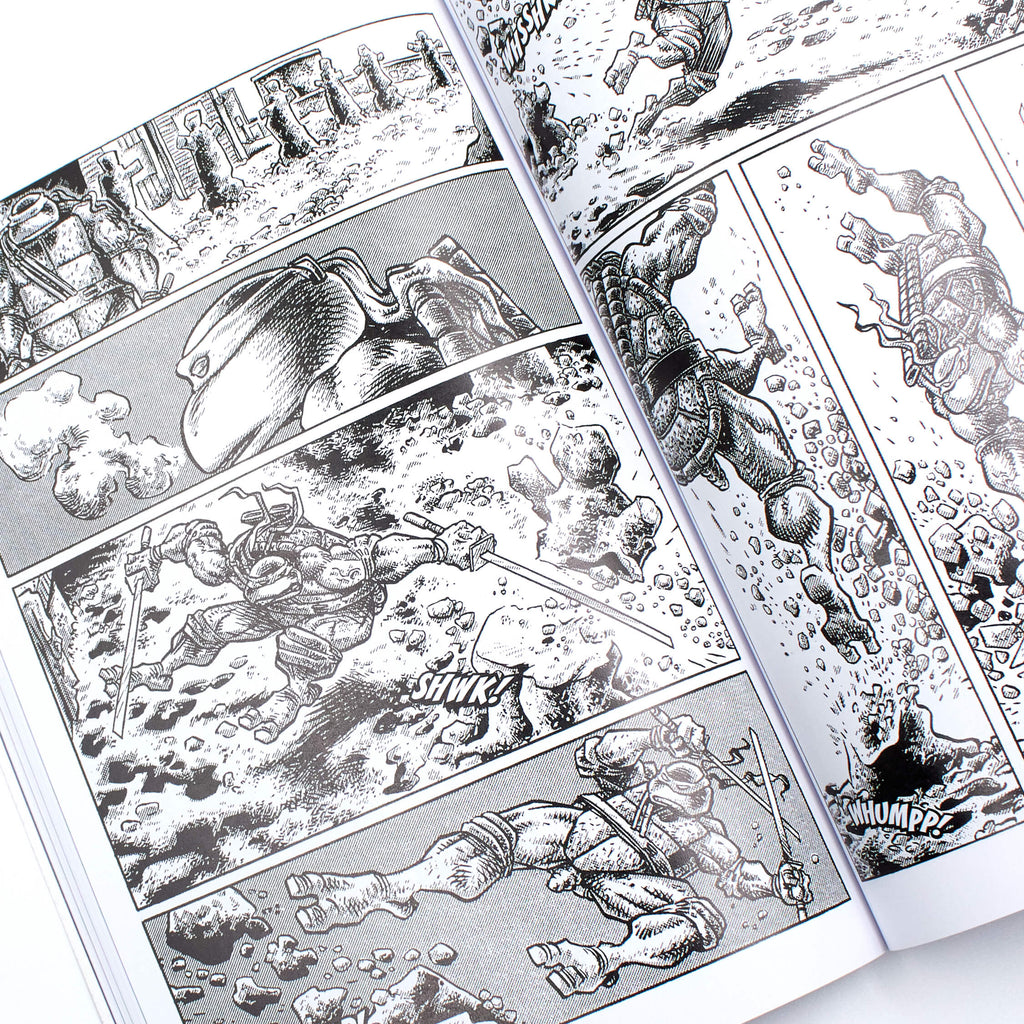 TMNT: Journeys, Vol. 1