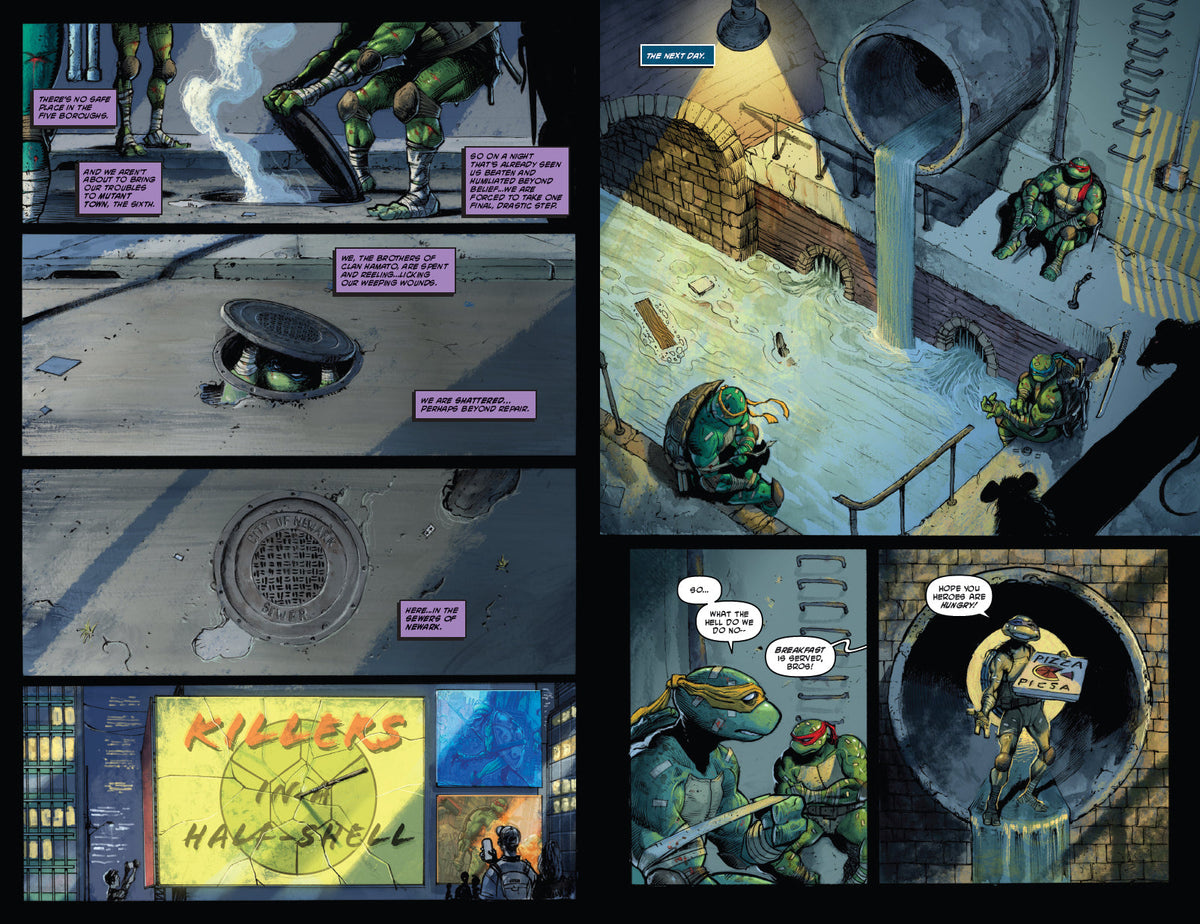 Teenage Mutant Ninja Turtles: NYC vs. TMNT