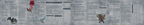 Torrents of the Spellhoarder Bundle - 