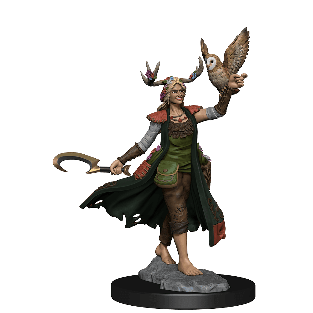 D&D: Frameworks - Human Druid Female - 