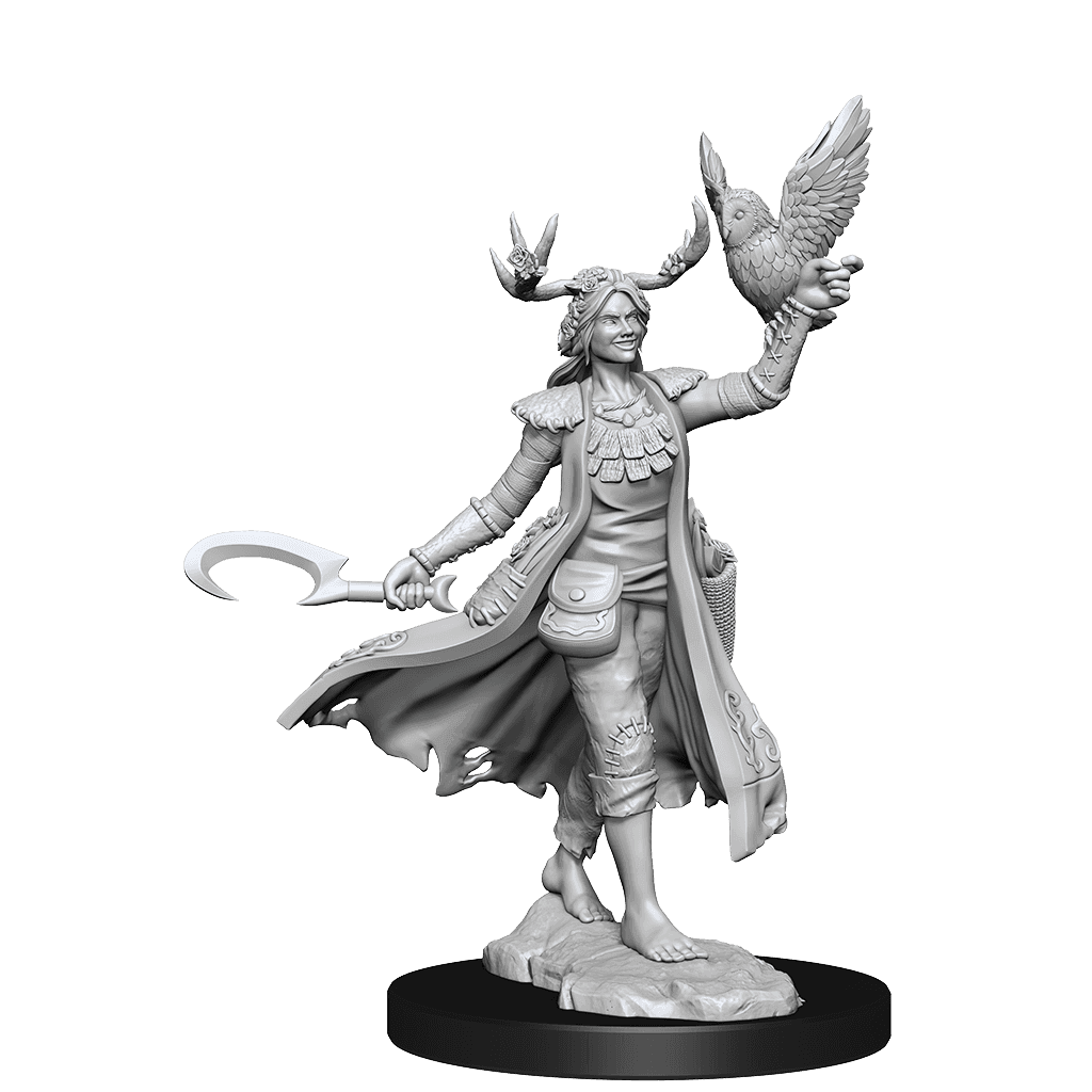D&D: Frameworks - Human Druid Female - 