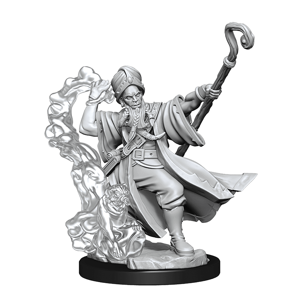 D&D: Frameworks - Human Wizard Male - 
