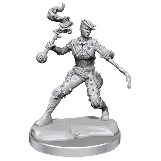 D&D: Frameworks - Human Rogue Female - 
