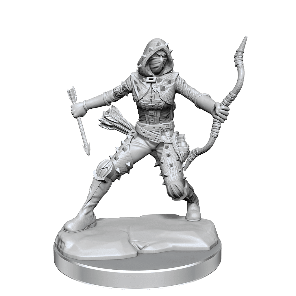 D&D: Frameworks - Human Rogue Female - 