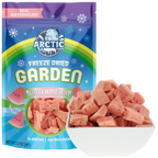 Freeze Dried Watermelon