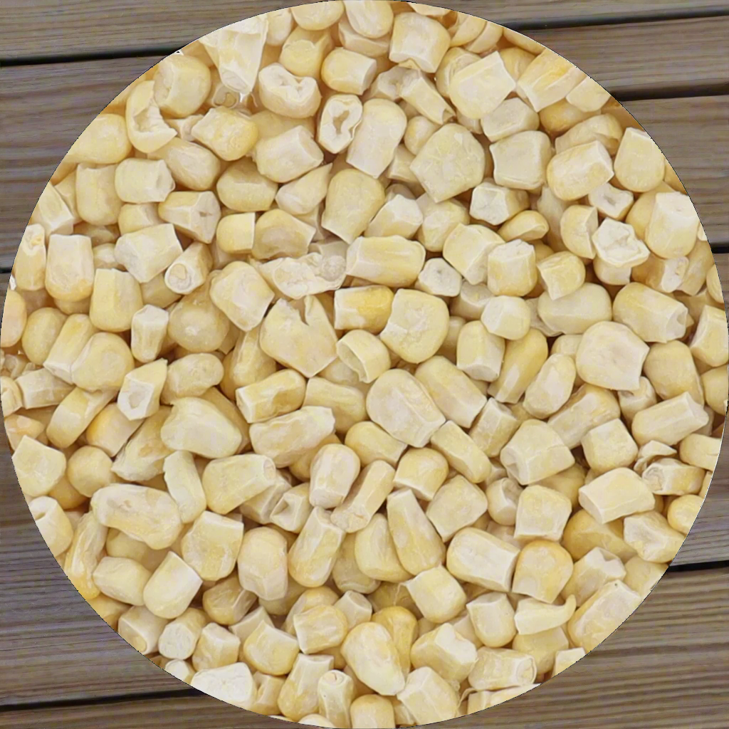 Freeze Dried Corn - Fire Roasted
