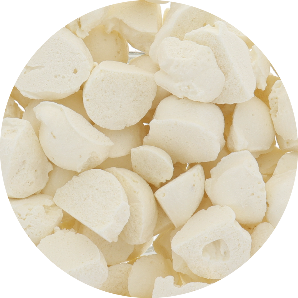 Freeze Dried Ice Cream That Does Not Melt (Bits) White Chocolate Macadamia