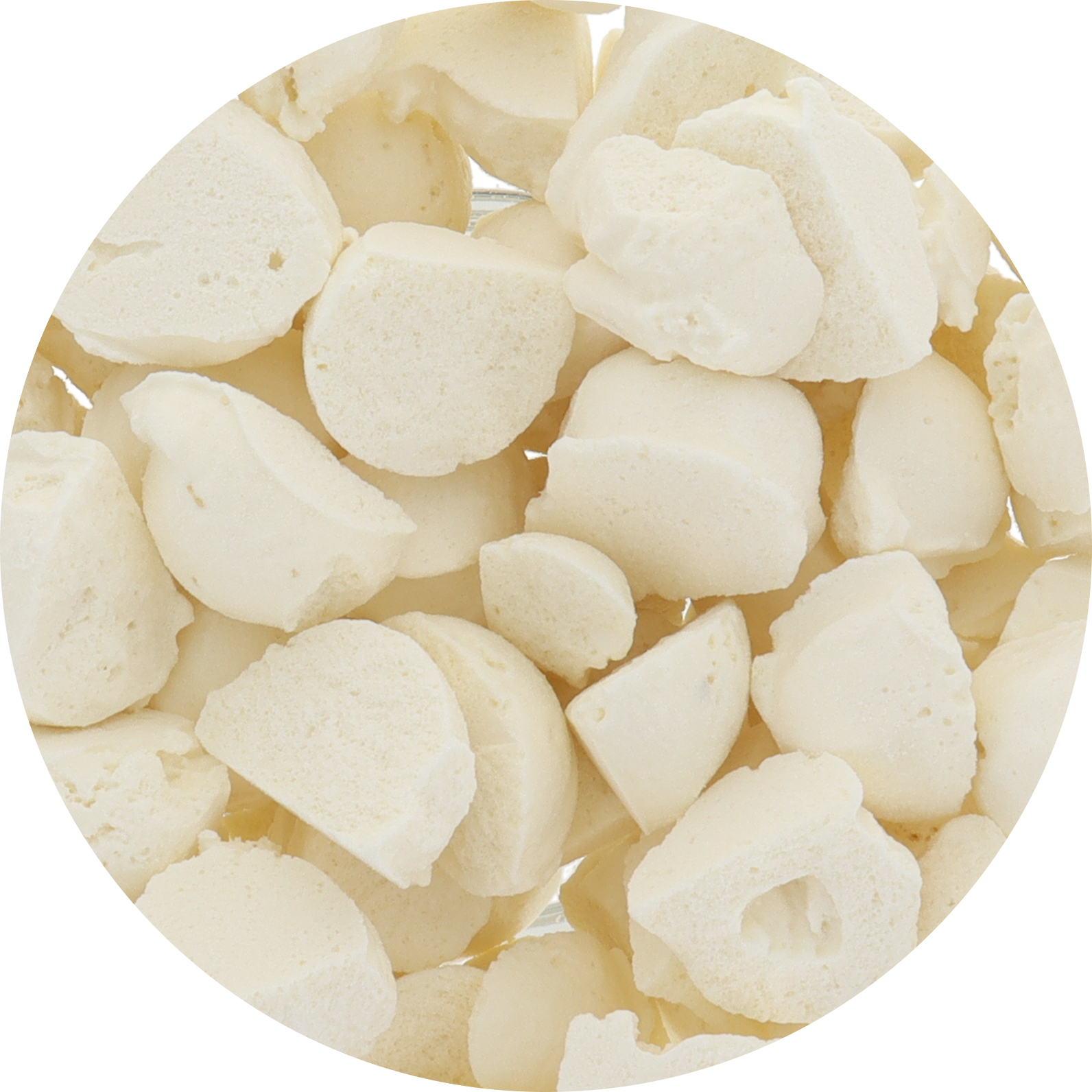 Freeze Dried Ice Cream That Does Not Melt (Bits) White Chocolate Macadamia