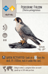 Wingspan: Revised - 