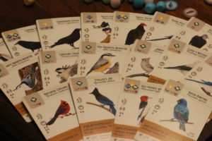 Wingspan: Revised - 