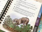 Wondrous Expeditions Forests - Pocket Guide (Hardcover) - 