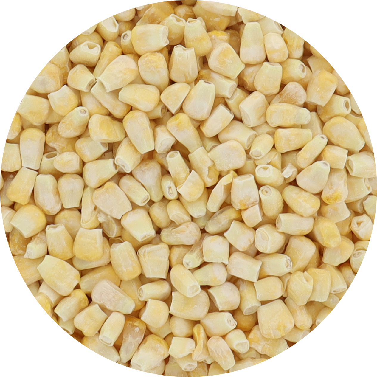 Freeze Dried Corn - Plain