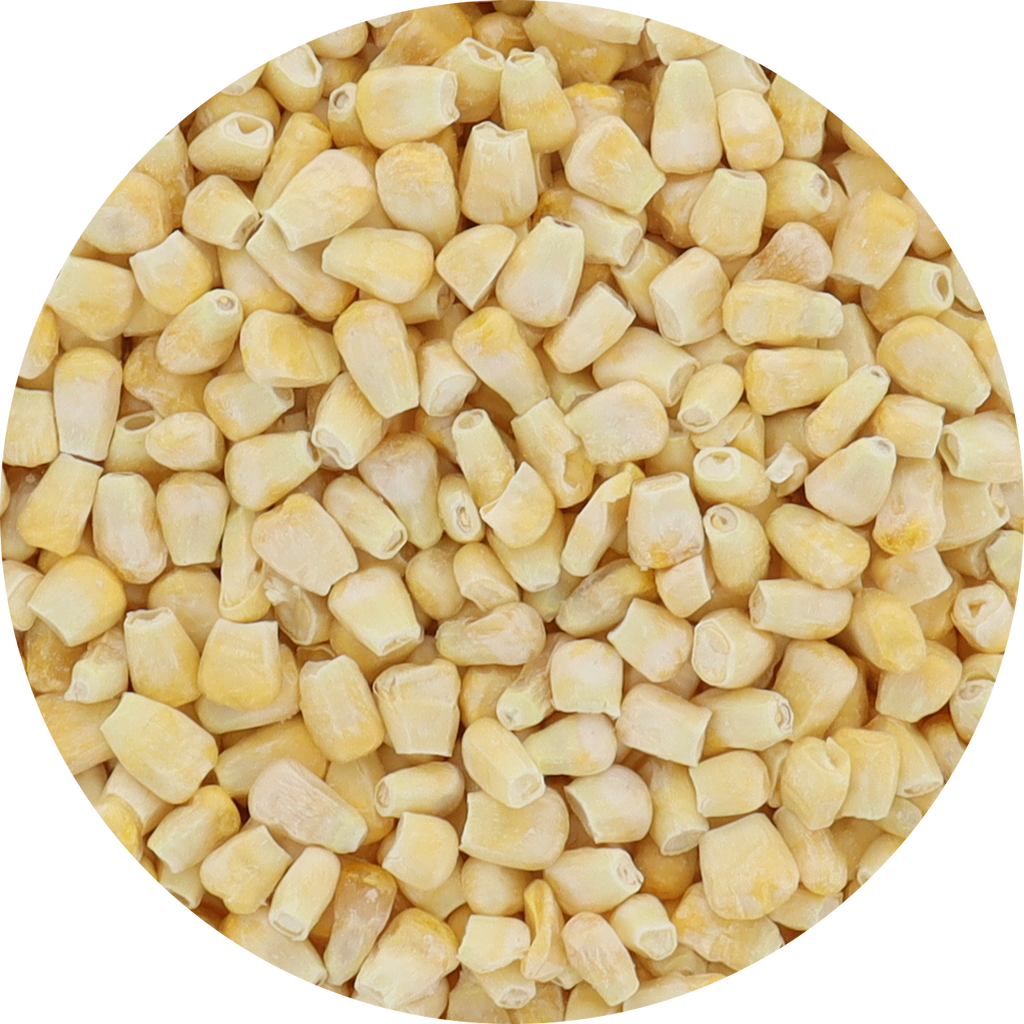 Freeze Dried Corn - Fire Roasted
