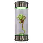 Alien Embryo Glass Jar Display 8” Collectible Movie Prop Replica