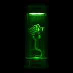 Alien Embryo Glass Jar Display 8” Collectible Movie Prop Replica