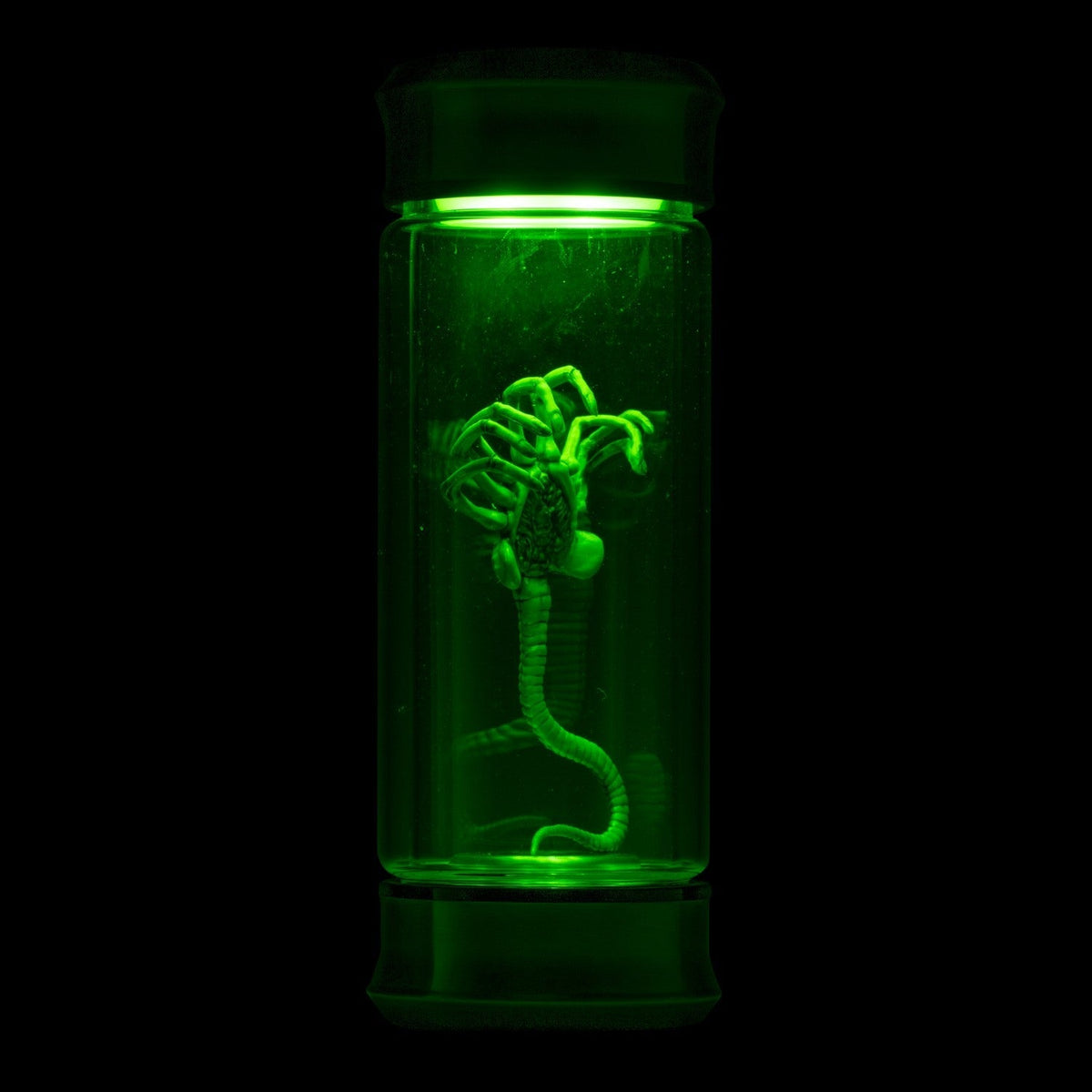 Alien Embryo Glass Jar Display 8” Collectible Movie Prop Replica