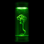 Alien Embryo Glass Jar Display 8” Collectible Movie Prop Replica