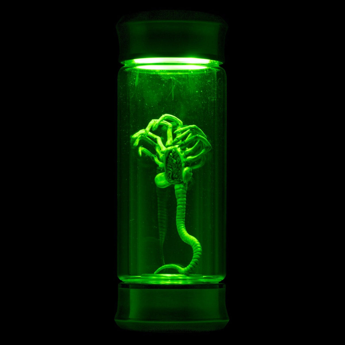 Alien Embryo Glass Jar Display 8” Collectible Movie Prop Replica