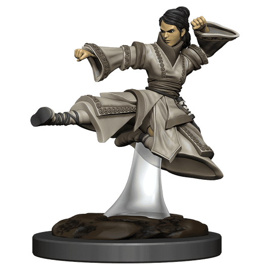 D&D: Icons of the Realms - Human Monk Female - 