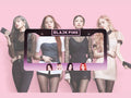 BlackPink Kpop License Plate Frame