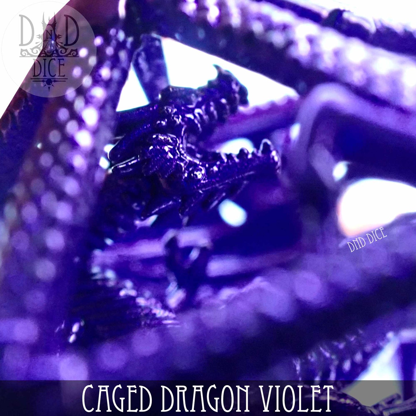 Caged Dragon D20 (6 Colors)