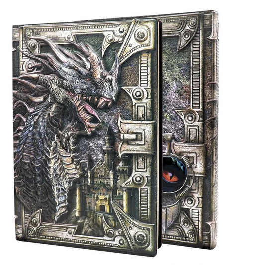 Colored Dragon Notebook