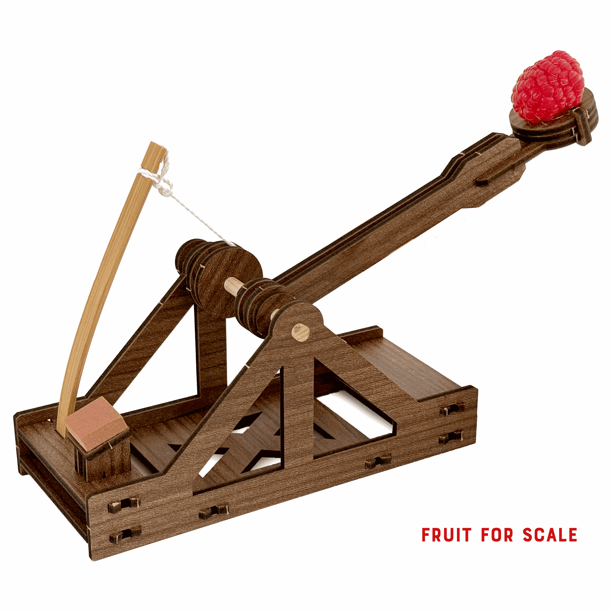mini Catapult : Siege Engine Engineering Kit - 