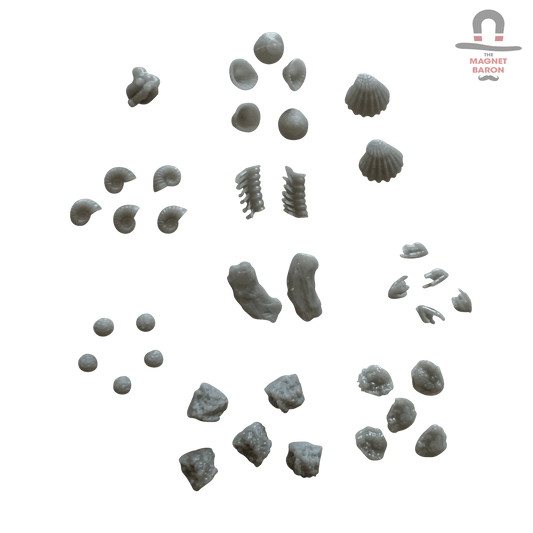 Coral Decorations