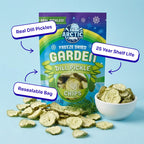 Freeze Dried Dill Pickle Chips (Less Salty)
