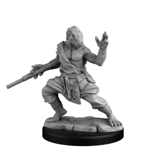 Dragonborn Monk - 