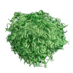 Green Comic Book Character Joke Clown Halloween Cosplay Costume Green Wig
