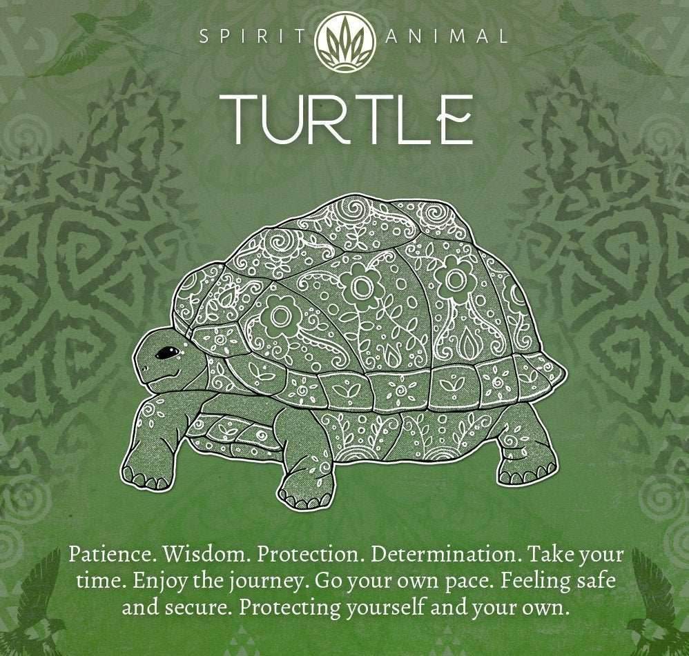 Turtle Opal Earrings - Round Stone
