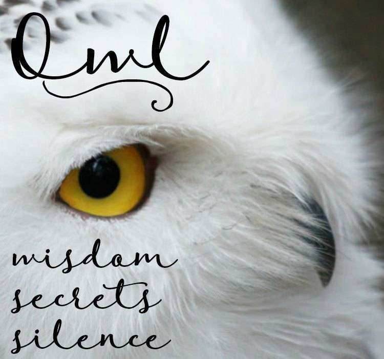 Summer Night Owl Earrings - 