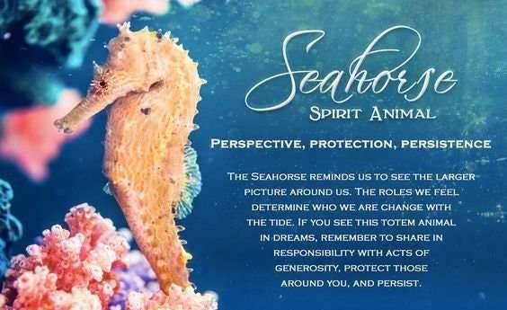 Seadrifter Celtic Seahorse Earrings - 