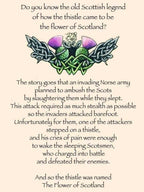 Scottish Thistle Trinity Knot Necklace - 