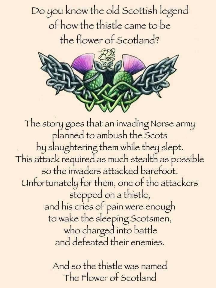 Scottish Thistle Trinity Knot Necklace - 