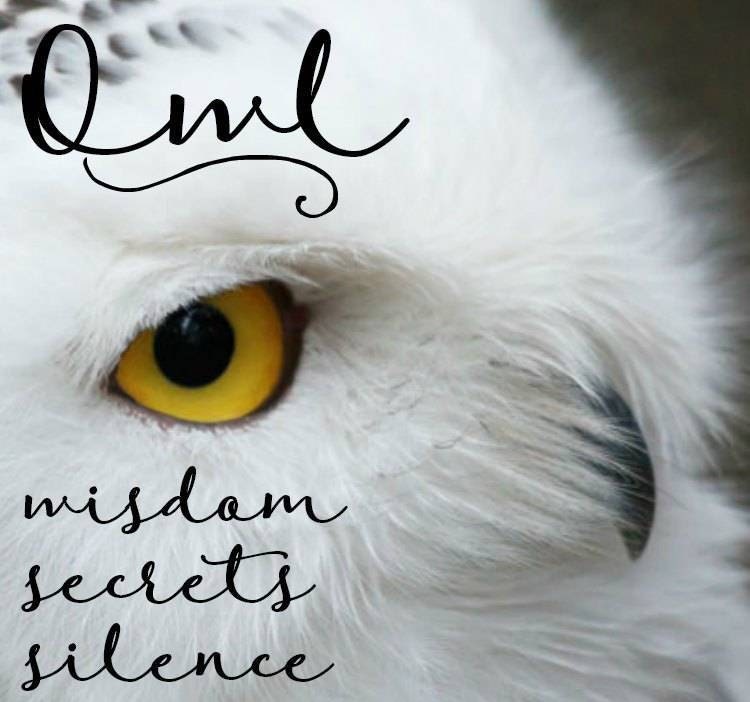 Minerva Celtic Owl Necklace