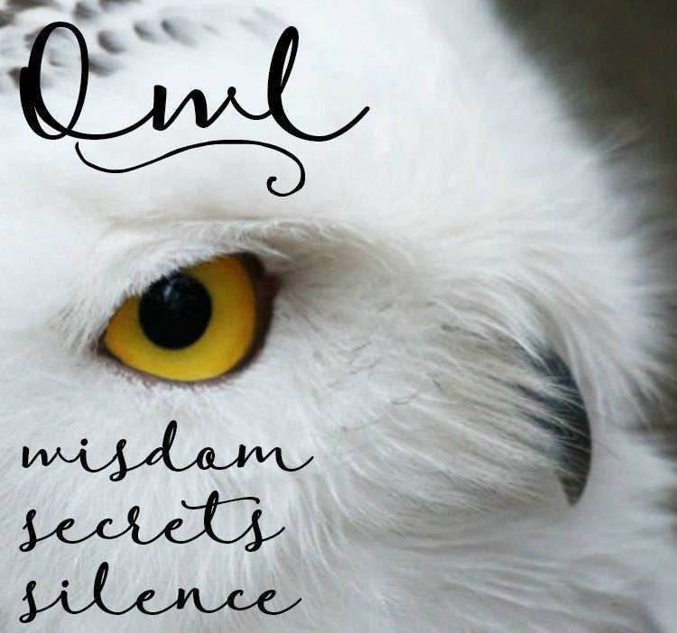 Affraic Celtic Owl Necklace - 