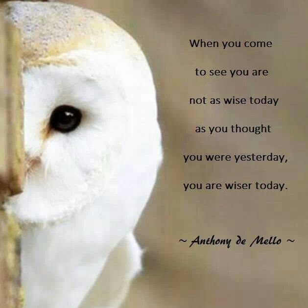 Mirra Owl Necklace