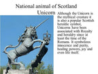Legendary Unicorn Necklace - 