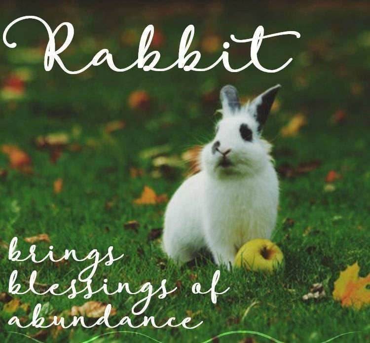 Woodland Rabbit Earrings - 
