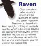 Ashild Raven Celtic Necklace - 18