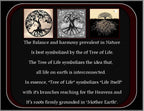 Leandra Tree of Life Necklace - Abalone Shell / 18