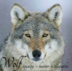 Midnight Wolf Necklace - 18