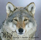 Wolf Claw Necklace - 