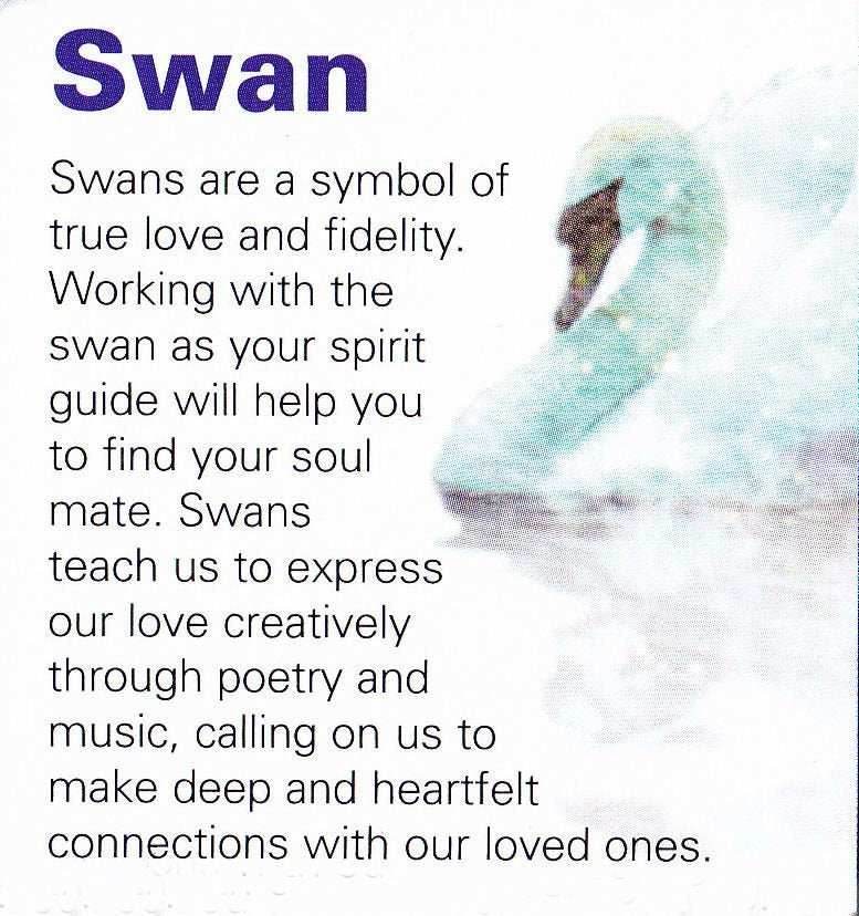 Children of Lir Swan Ring - 6
