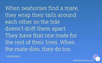Happy Seahorse Post Earrings - 