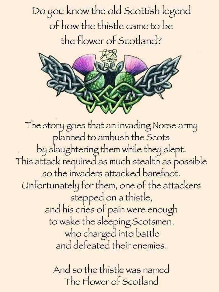 Locklyn Tartan Thistle Necklace - 18