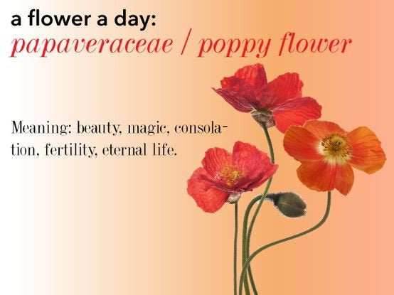 Poppy Flower Necklace - 18